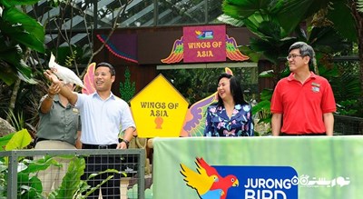 سرگرمی باغ پرندگان جورونگ شهر سنگاپور کشور سنگاپور