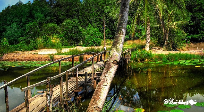 سرگرمی جزیره پولائو اوبین (جزیره گرانیت) شهر سنگاپور کشور سنگاپور