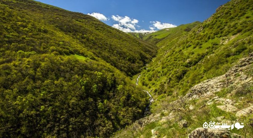 جنگل مشه سویی -  شهر اردبیل