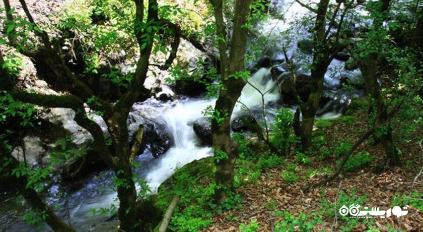جنگل مشه سویی -  شهر اردبیل