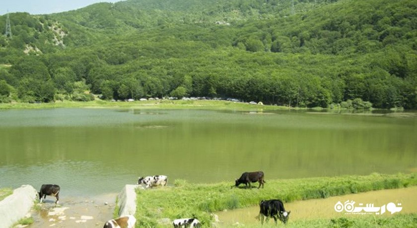 دریاچه بره سر (دریاچه ویستان) -  شهر گیلان