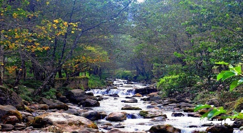  ییلاق جواهرده شهرستان مازندران استان رامسر