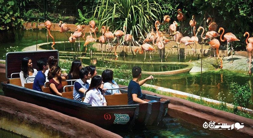 سرگرمی ریور سافاری شهر سنگاپور کشور سنگاپور