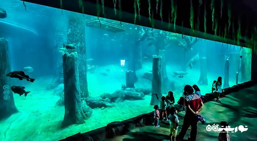 سرگرمی ریور سافاری شهر سنگاپور کشور سنگاپور