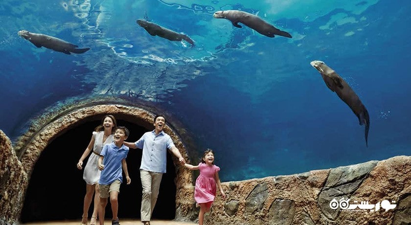 سرگرمی ریور سافاری شهر سنگاپور کشور سنگاپور