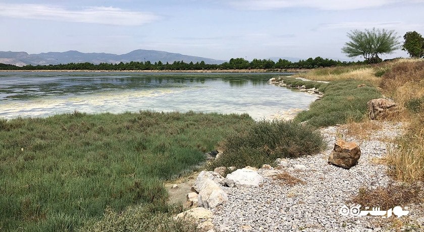 سرگرمی جنگل شهری اینجیرالتی شهر ترکیه کشور ازمیر