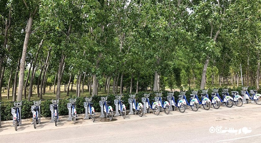 سرگرمی جنگل شهری اینجیرالتی شهر ترکیه کشور ازمیر