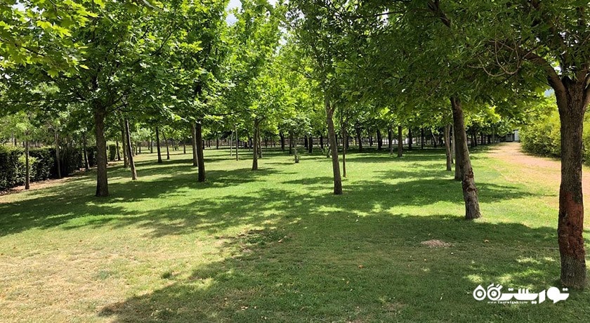 سرگرمی جنگل شهری اینجیرالتی شهر ترکیه کشور ازمیر