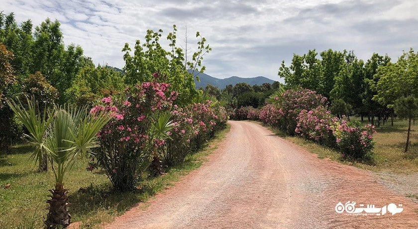 سرگرمی جنگل شهری اینجیرالتی شهر ترکیه کشور ازمیر