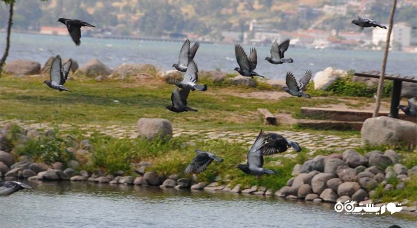 سرگرمی ملس دلتاسی شهر ترکیه کشور ازمیر