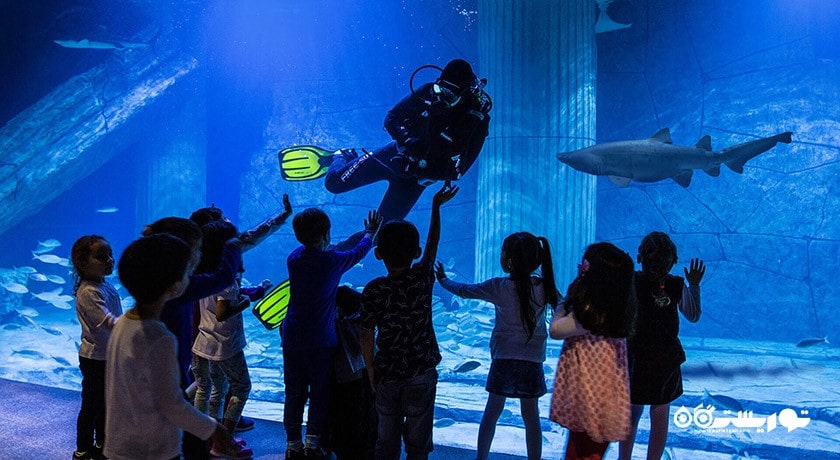 مرکز خرید مرکز خرید وست پارک شهر ترکیه کشور ازمیر