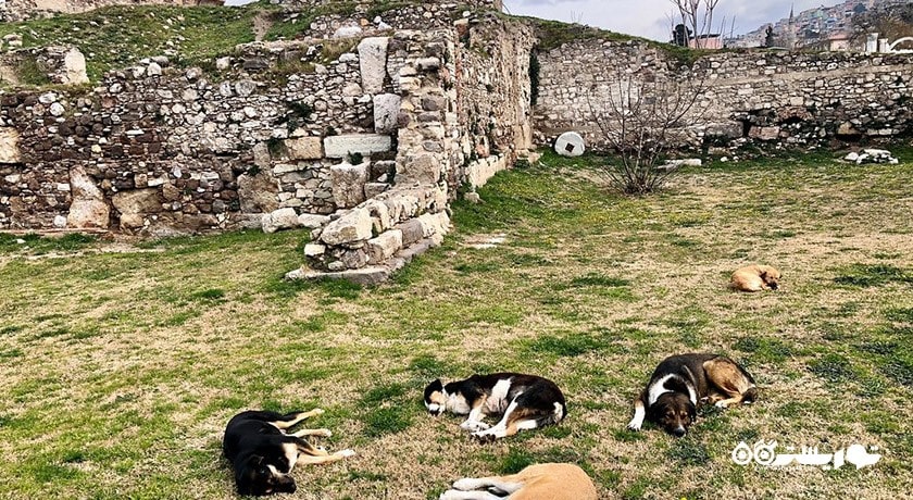  موزه روباز آگورا شهر ترکیه کشور ازمیر