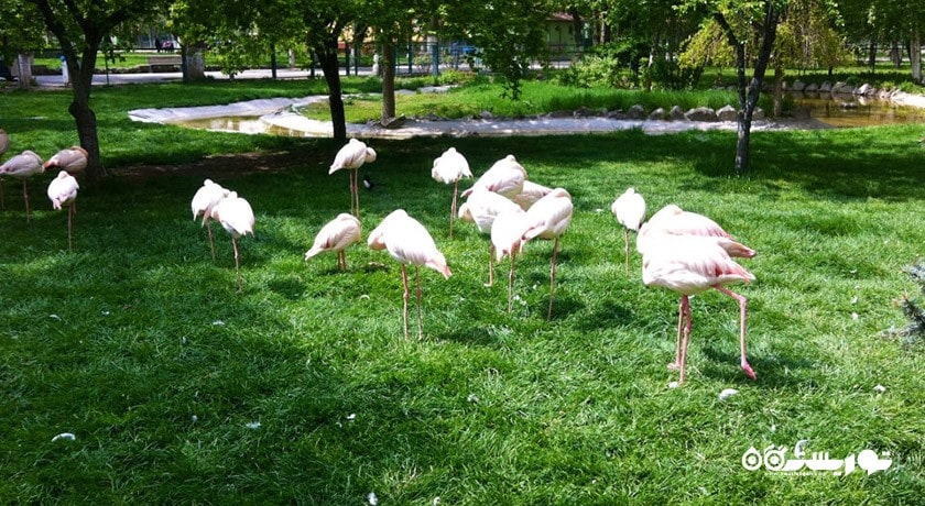 باغ وحش و مزرعه جنگلی آتاتورک -  شهر آنکارا