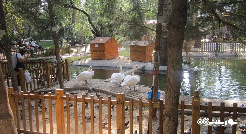 سرگرمی پارک کواعلو شهر ترکیه کشور آنکارا