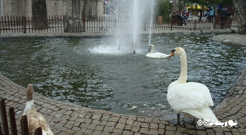 سرگرمی پارک کواعلو شهر ترکیه کشور آنکارا