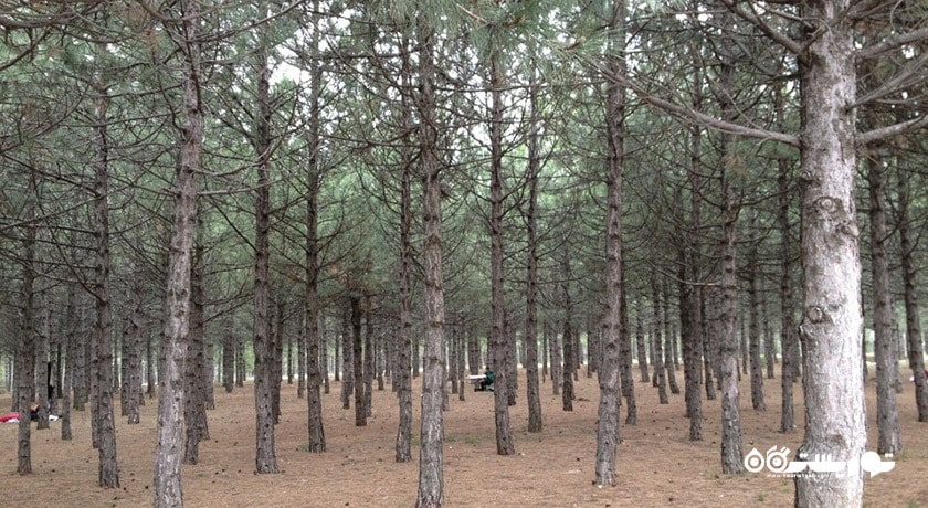 سرگرمی پارک تسهیلات آهلات لیبل شهر ترکیه کشور آنکارا