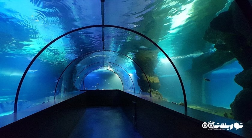آکواریوم آکوا وگا -  شهر آنکارا