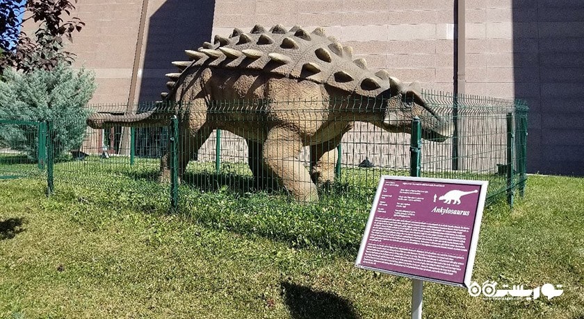 موزه تاریخ طبیعی -  شهر آنکارا