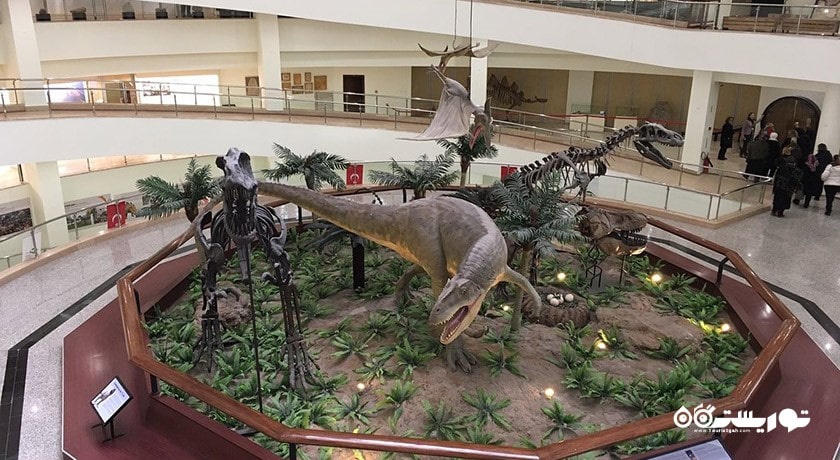 موزه تاریخ طبیعی -  شهر آنکارا