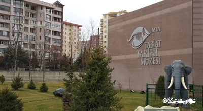  موزه تاریخ طبیعی شهر ترکیه کشور آنکارا