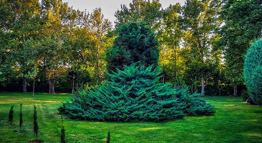  پارک لاله شهر تهران استان تهران