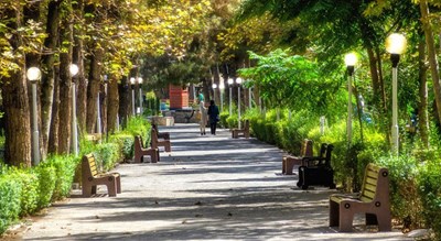  پارک ساعی شهر تهران استان تهران