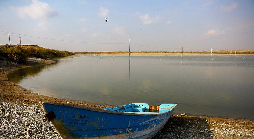  تالاب عشق آباد شهرستان تهران استان تهران