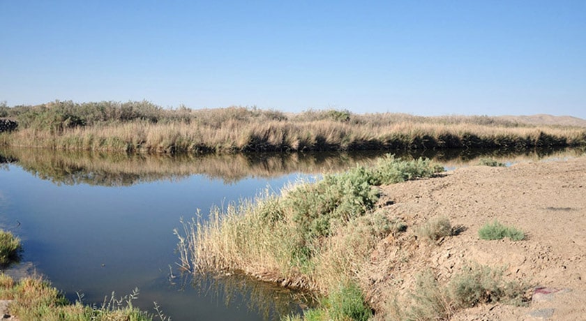  تالاب گاوخونی شهرستان اصفهان استان اصفهان