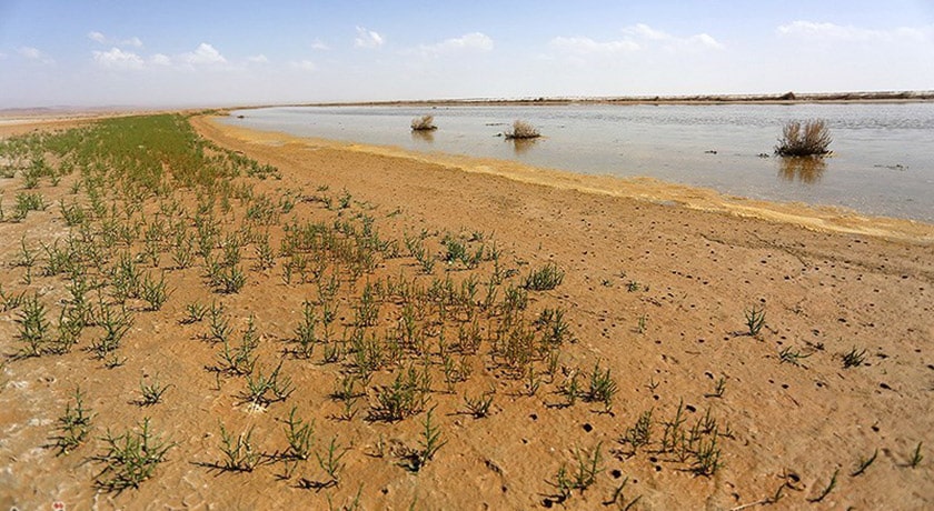  تالاب گاوخونی شهرستان اصفهان استان اصفهان