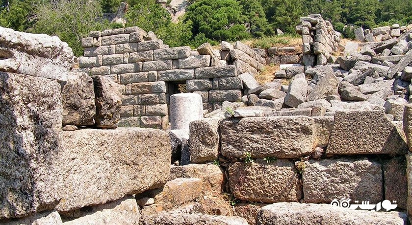  شهر تاریخی پداسا شهر ترکیه کشور بدروم