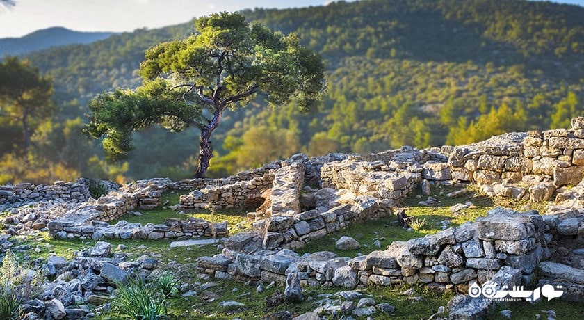 شهر تاریخی پداسا -  شهر بدروم