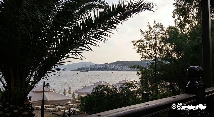 سرگرمی ساحل بیتز شهر ترکیه کشور بدروم