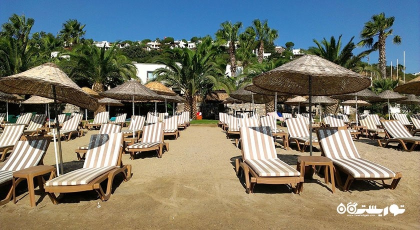 سرگرمی ساحل بیتز شهر ترکیه کشور بدروم