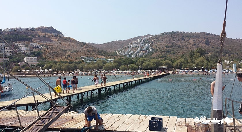 سرگرمی ساحل شتر شهر ترکیه کشور بدروم