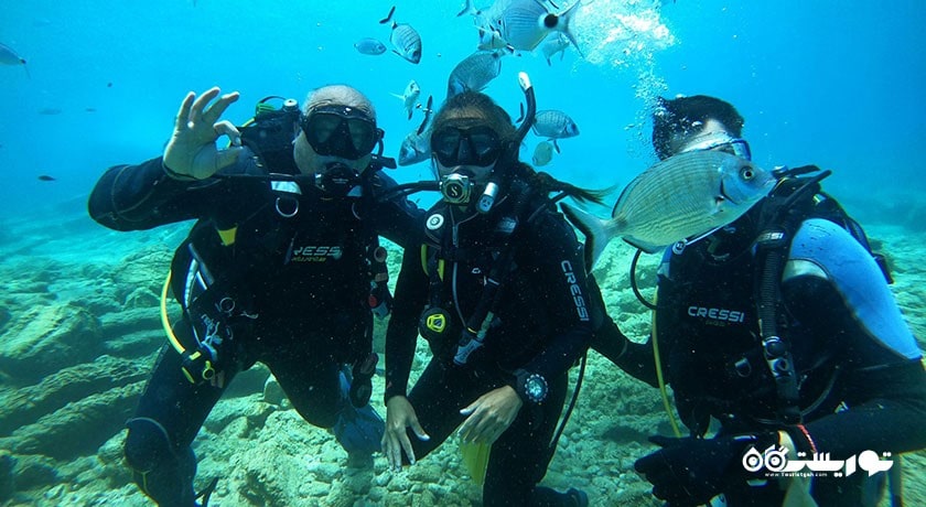 غواصی در بدروم -  شهر بدروم