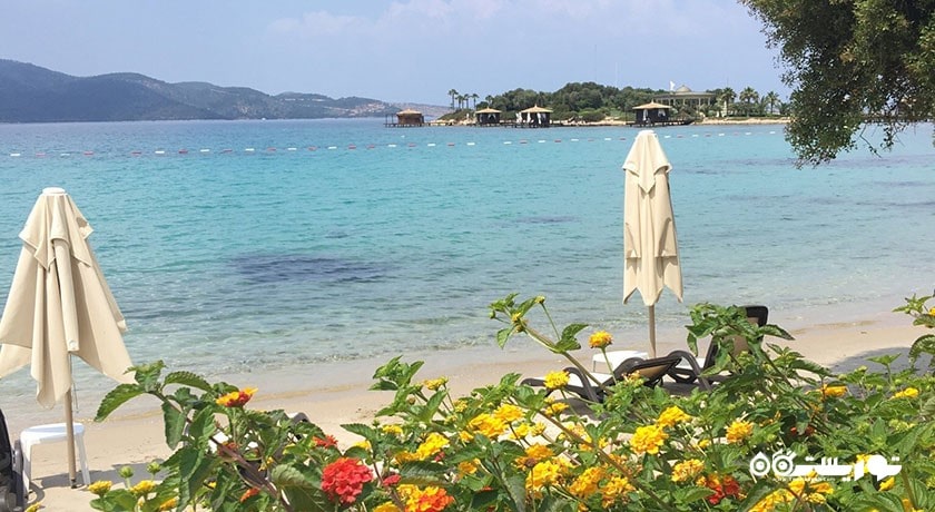 سرگرمی ساحل توربا شهر ترکیه کشور بدروم