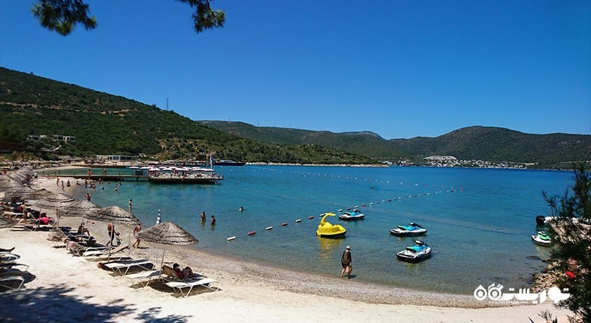 سرگرمی ساحل توربا شهر ترکیه کشور بدروم