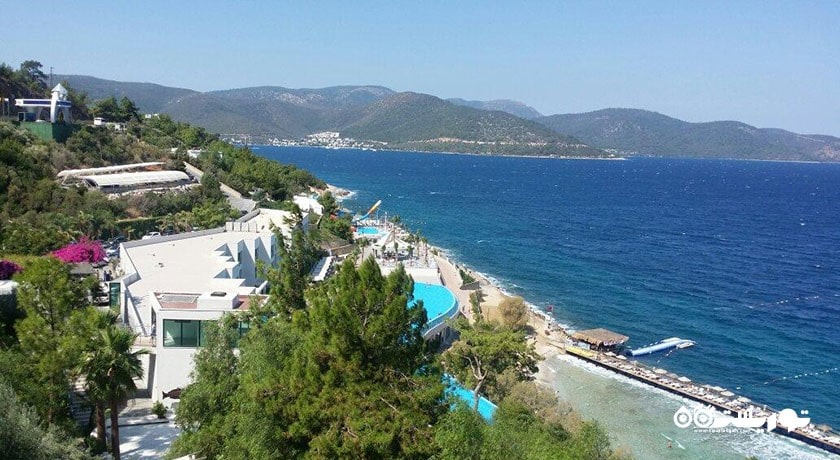 سرگرمی ساحل توربا شهر ترکیه کشور بدروم