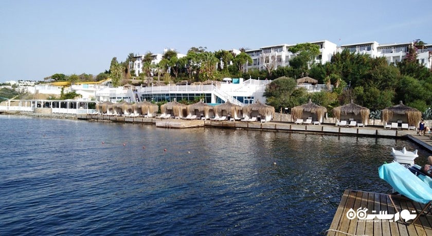 سرگرمی ساحل کادیکالسی شهر ترکیه کشور بدروم