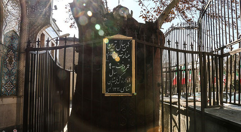 امامزاده یحیی -  شهر تهران