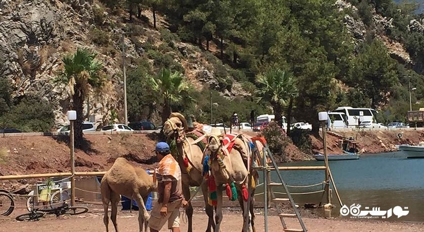  اورهانیه شهر ترکیه کشور مارماریس