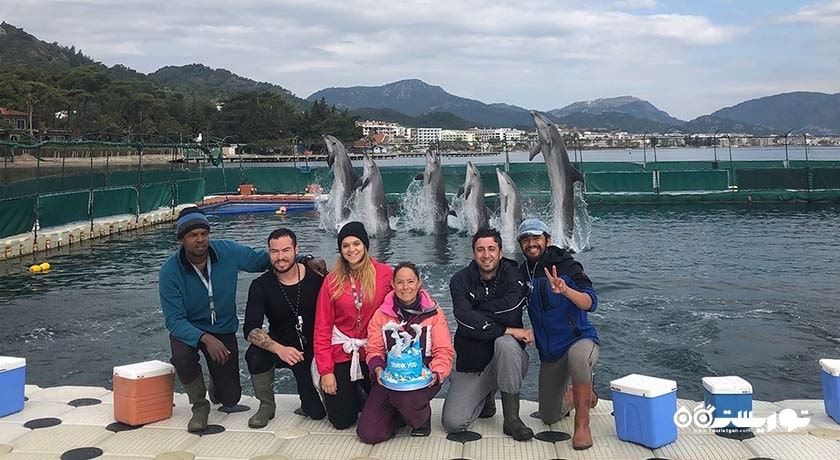 سرگرمی دلفین لند شهر ترکیه کشور مارماریس