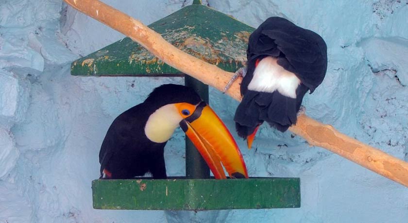  باغ پرندگان اصفهان شهر اصفهان استان اصفهان