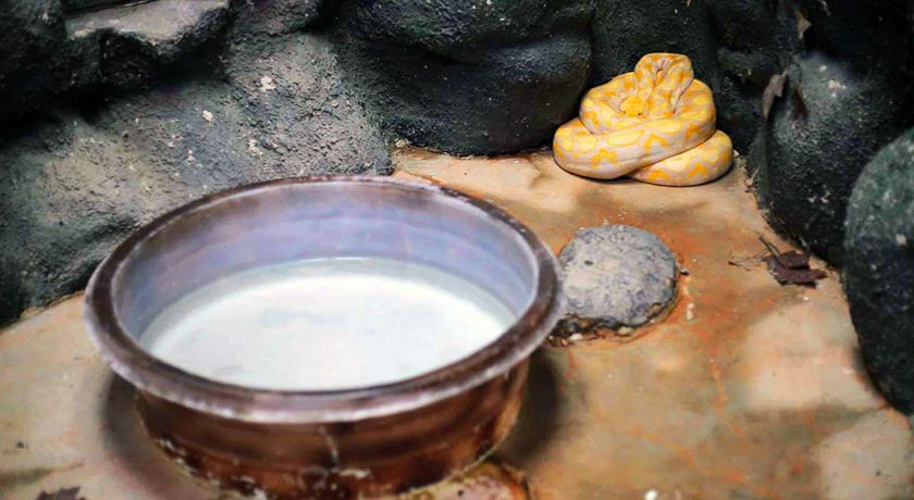  باغ خزندگان شهر اصفهان استان اصفهان