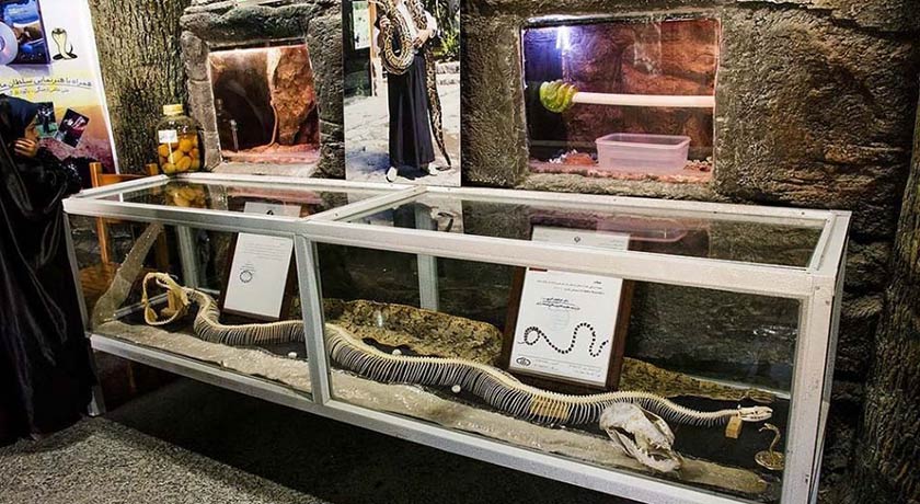  باغ خزندگان شهر اصفهان استان اصفهان