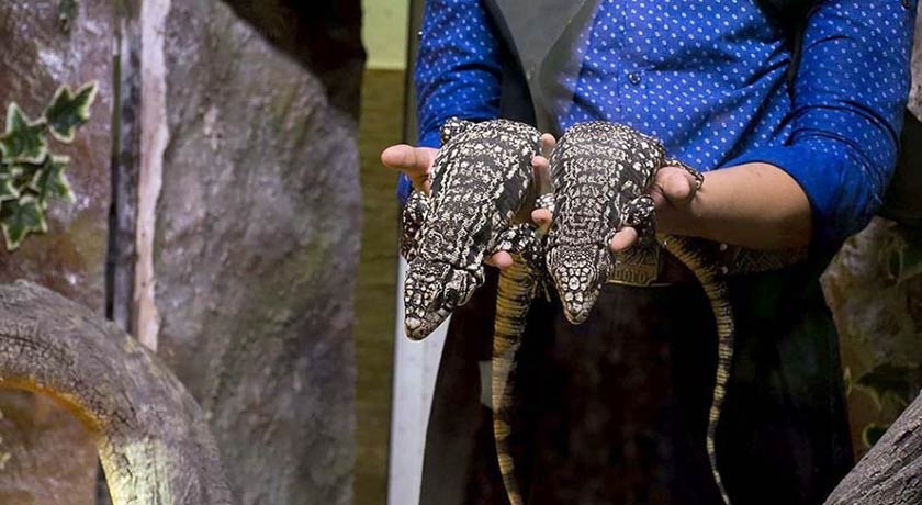 باغ خزندگان -  شهر اصفهان