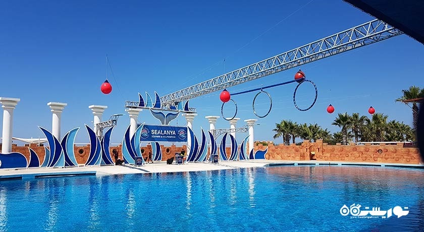 سرگرمی پارک دلفین سیلانیا شهر ترکیه کشور آلانیا