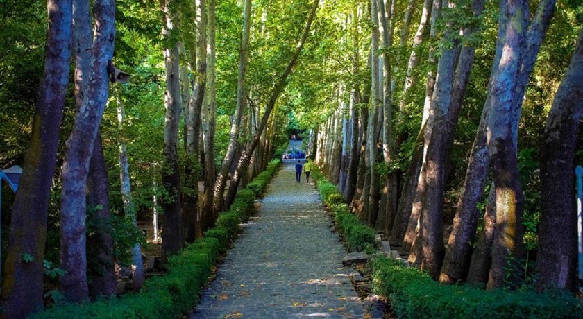  پارک جمشیدیه شهر تهران استان تهران