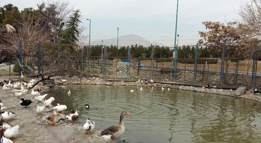  پارک جنگلی پردیسان شهر تهران استان تهران