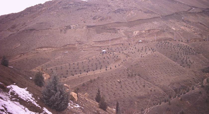  پارک جنگلی کوهسار شهر تهران استان تهران